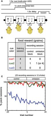 Striatal and Tegmental Neurons Code Critical Signals for Temporal-Difference Learning of State Value in Domestic Chicks